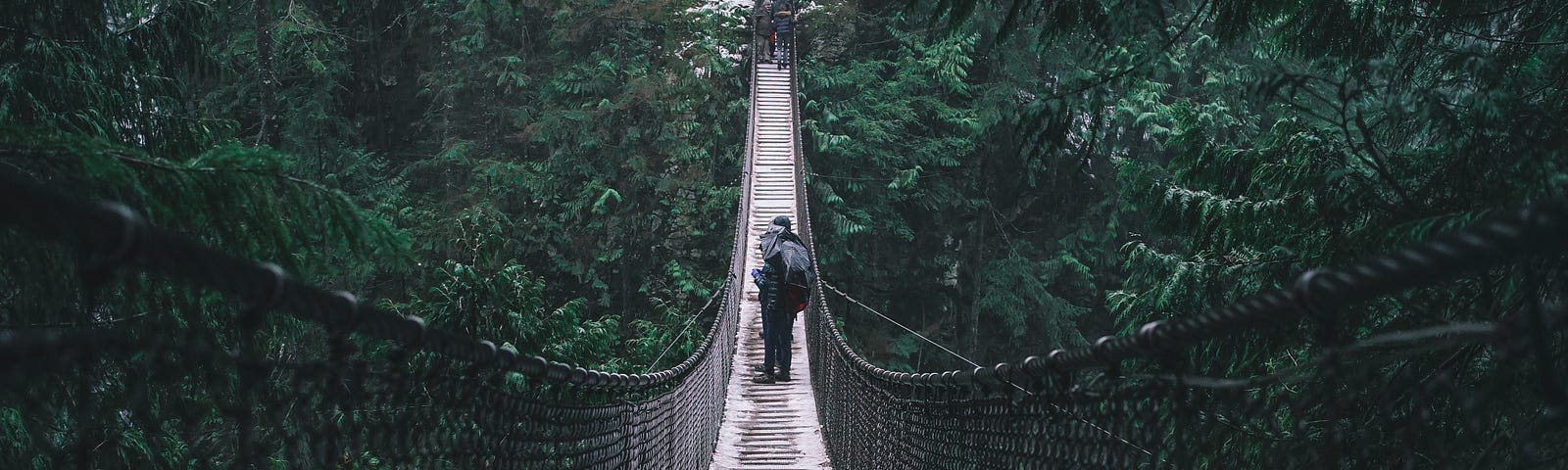 A swinging bridge stretches over an expansive rainforest.