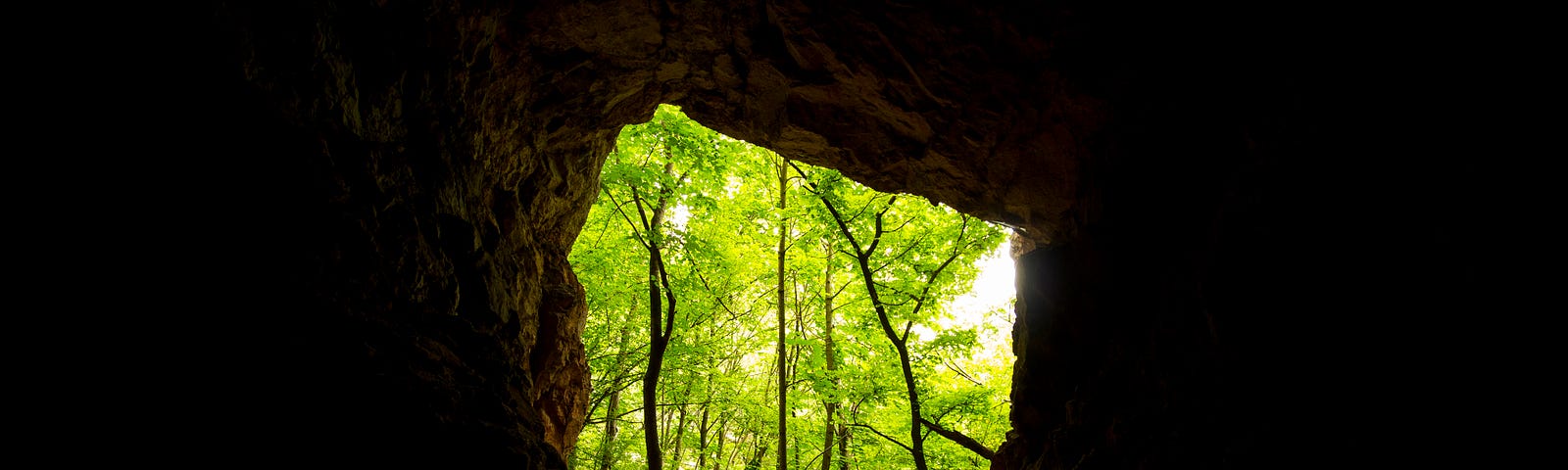 The cave opens on a forest.