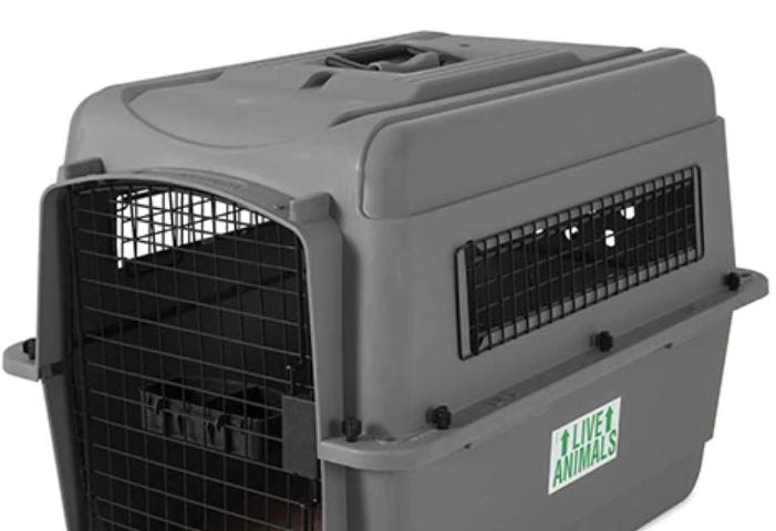 We recommend this PetMate Sky Kennel as one of the best cockapoo dog carrier options.