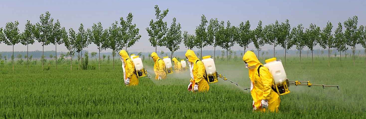 Spraying pesticides