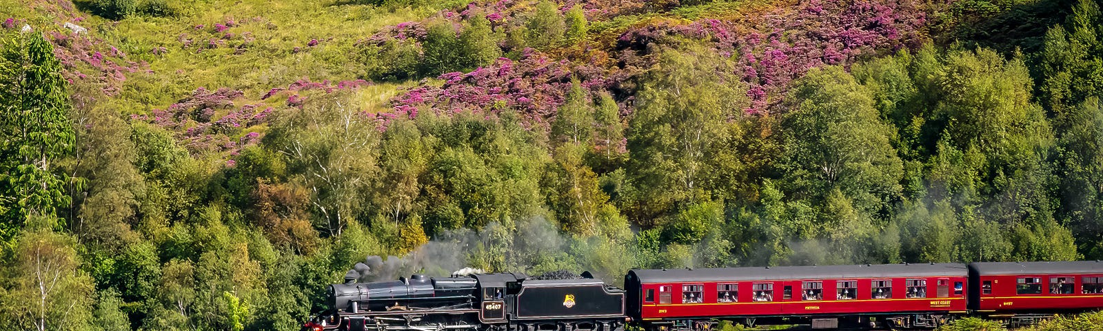 A steam train