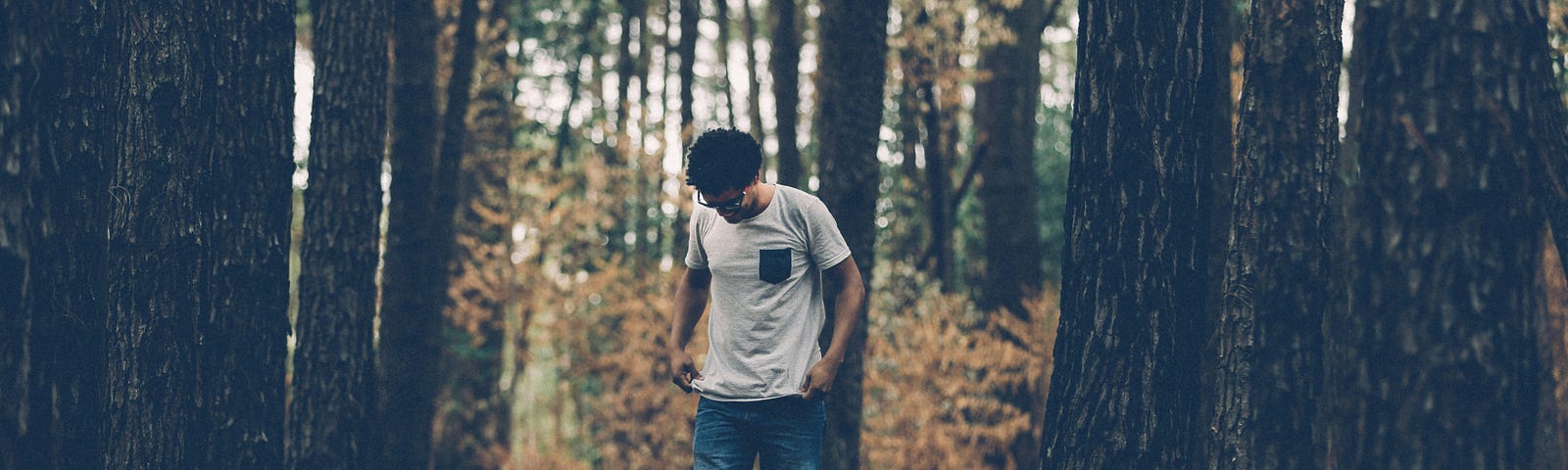 A person balancing on a fallen tree trunk in a forest, symbolizing the pursuit of balance and moderation in life.