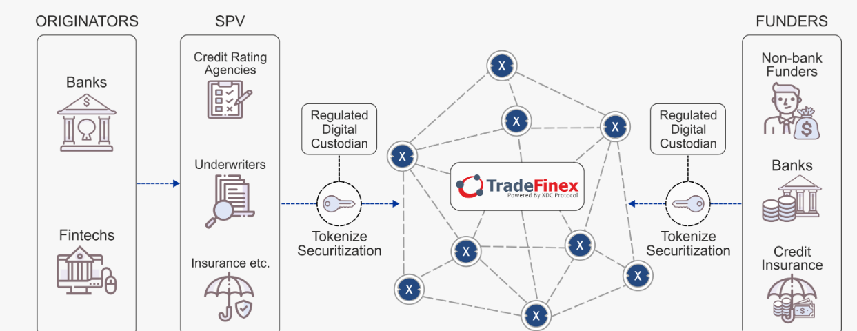 TradeFinex platform, a solution to Trade and Finance.