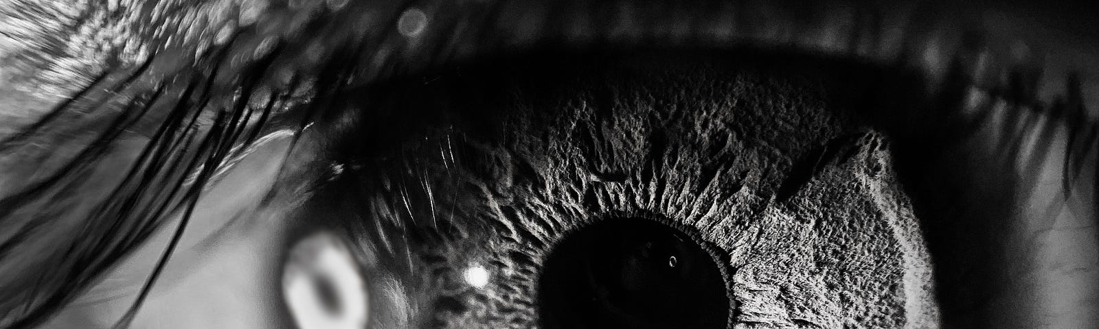 Human eye, black and white photo, close-up shot.