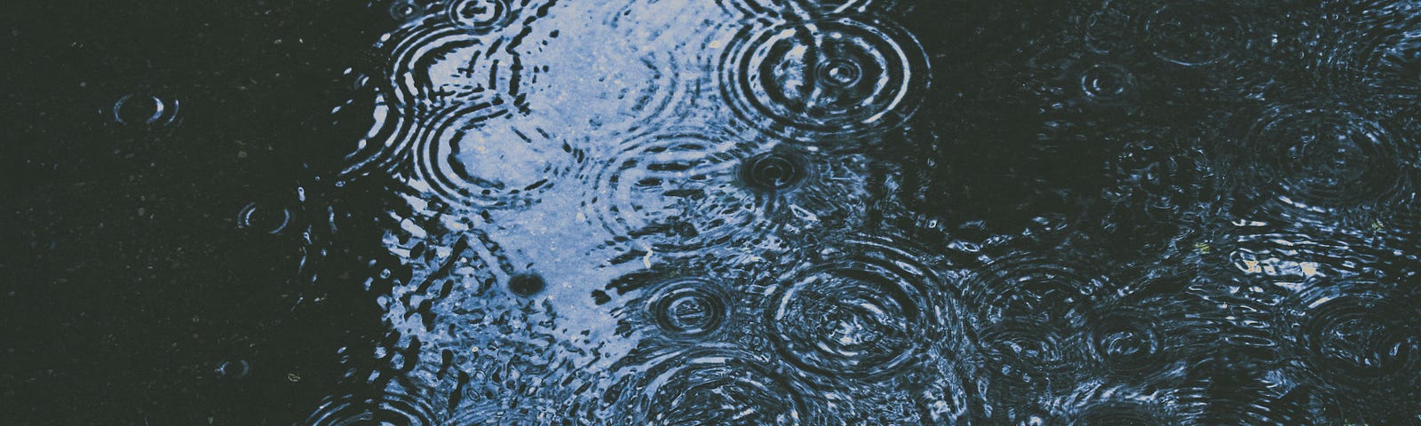 concentric circles of rain drops on water