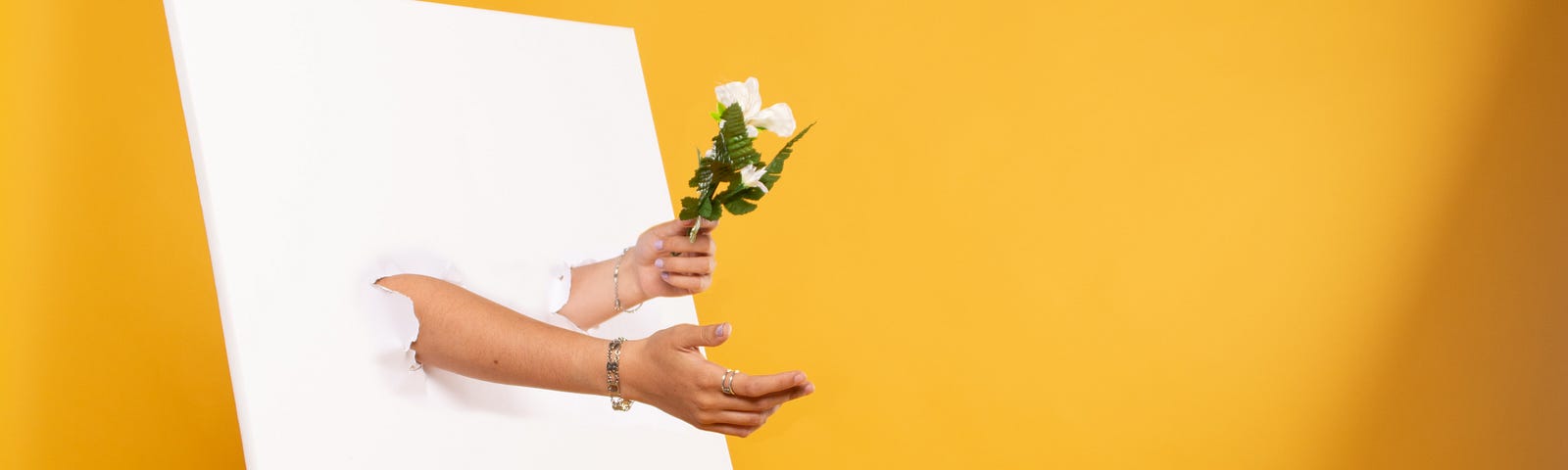 Cnavas with 3D hands emerging from it, holding a bunch of flowers
