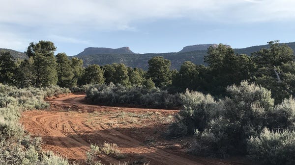 President Obama designated the Bears Ears National Monument in December. Here, the namesake "bears ears" are pictured from Cedar Mesa, in the southeast Utah high desert.