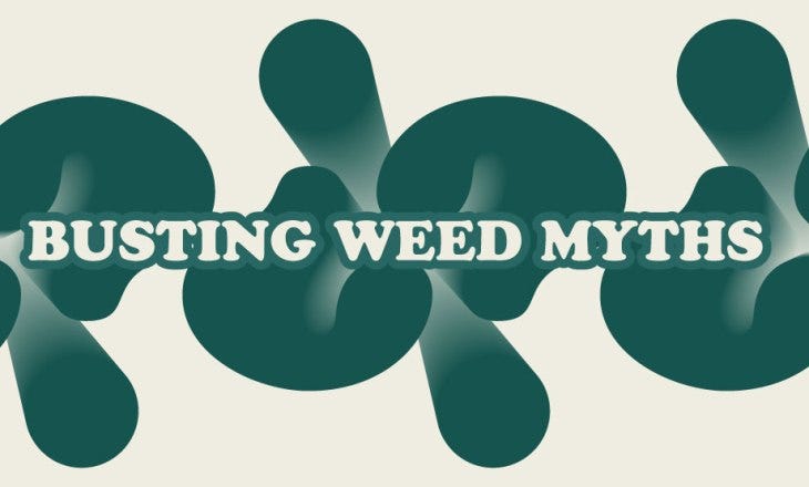 Busting weed myths in front of a green pattern by hotgrass
