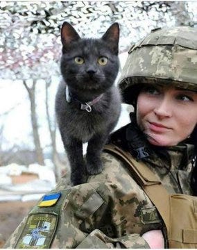 Ukraine solder with black cat on shoulder