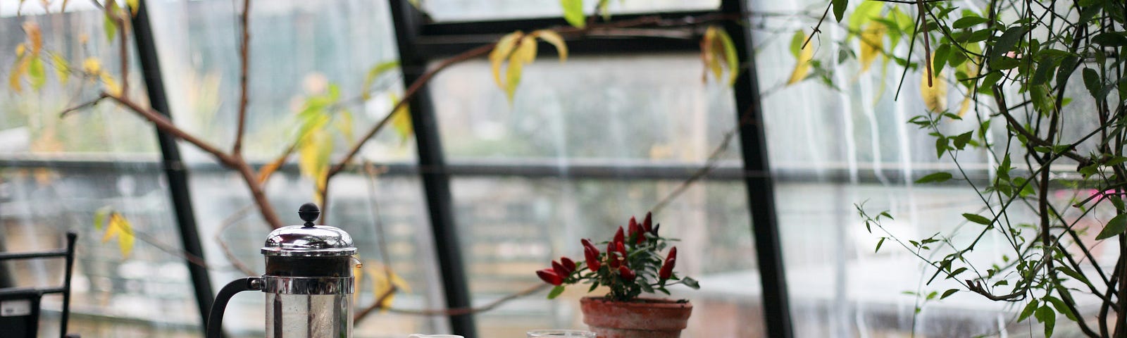 A table in the window of a coffee shop. A plant, coffee pot, and cup sit on the table.