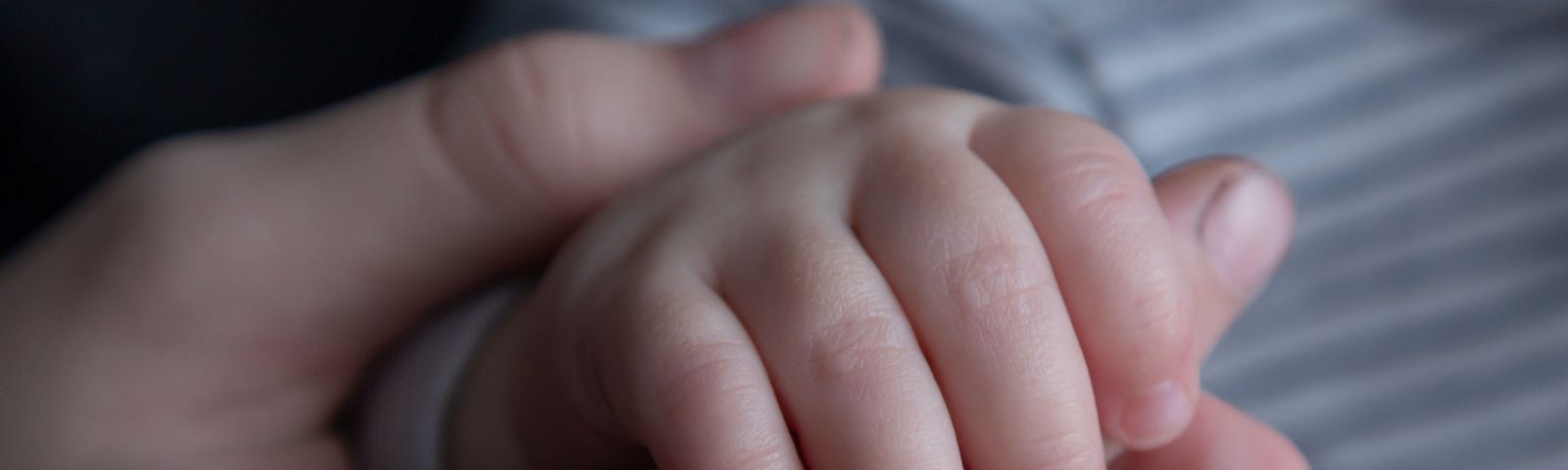 The hand of a mother holding a baby’s hand