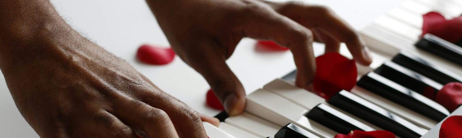 close up of hands playing a piano with red rose petals strewn across the keys