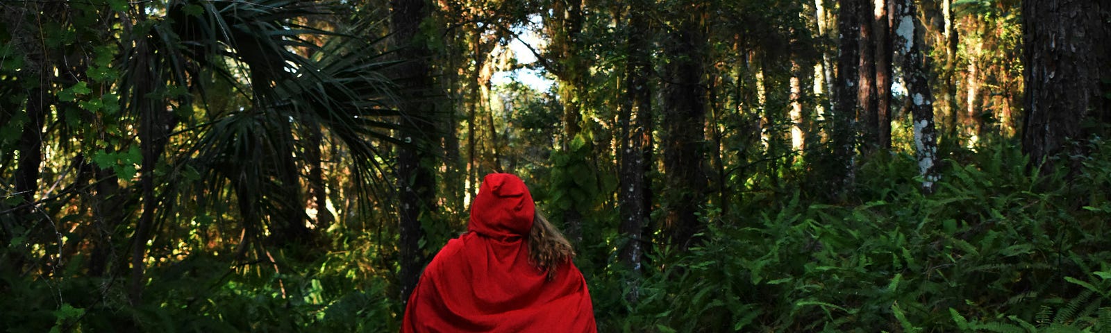 Red Riding Hood running in the forest— photo by Chelsey Marques on Unsplash