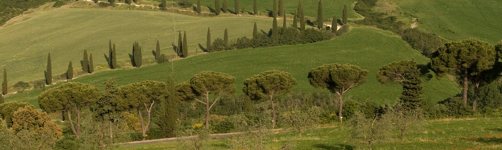 stock photo of Tuscany