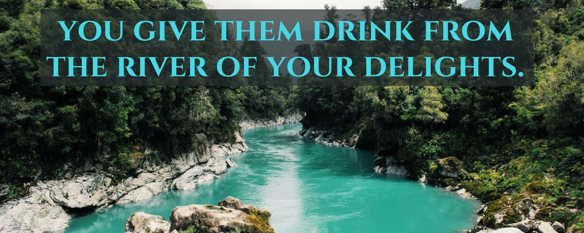 You Give Them Drink From Your River Of Delights. Psalm 36:8–9 (NIV)