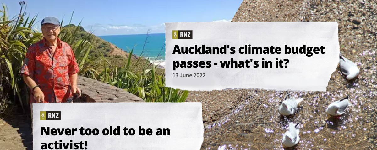 2 newspaper headlines over a background of an elderly man smiling at the camera and gulls standing in the water at the beach. The two headlines read: Auckland’s climate budget passes- what’s in it?; Never too old to be an activist!