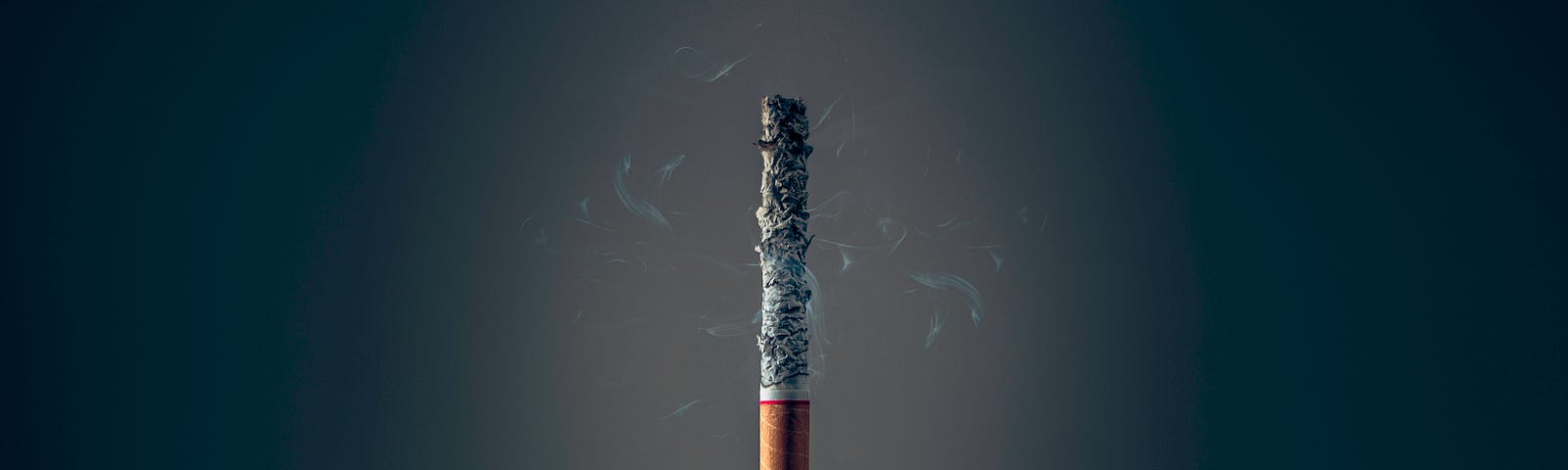 A cigarette stood on its filter, burned to ash.