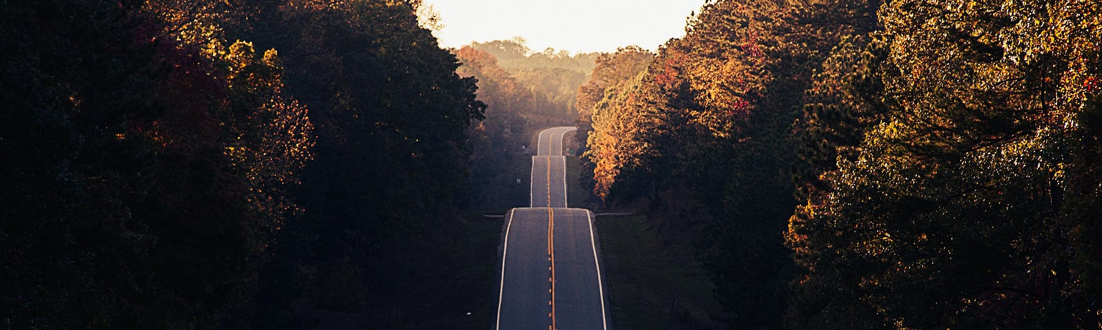 An empty road going straight into the distance, surrounded by trees.