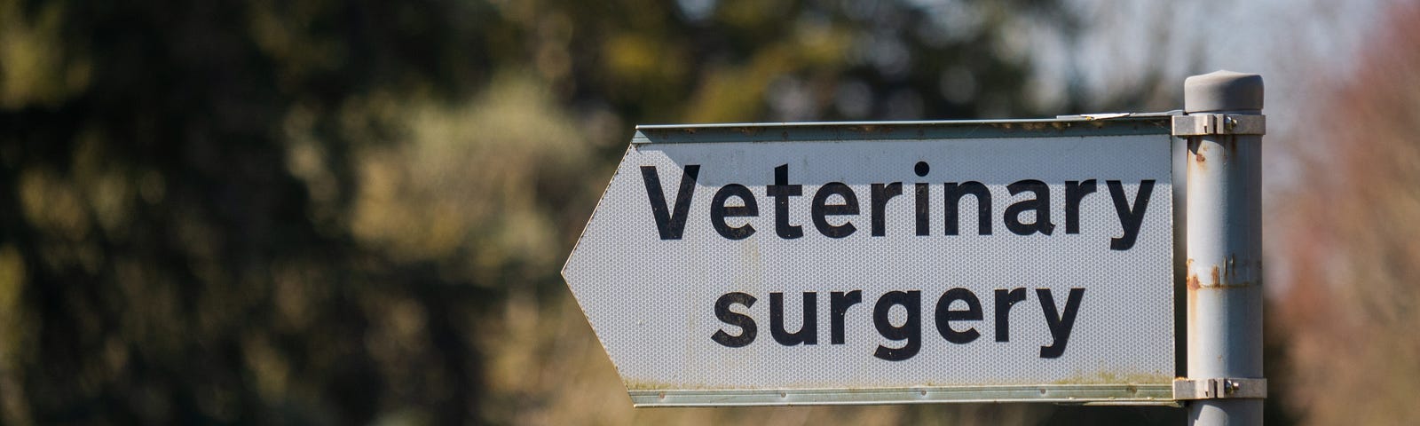 A street direction sign saying Veterinary Surgery