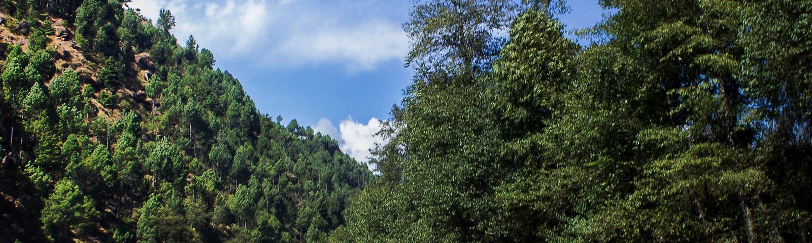 River flowing over submerged boulders, in Raison, near the Himalayas