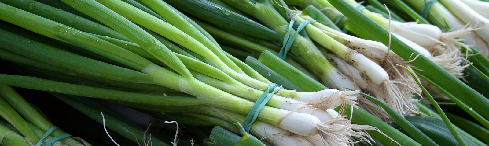 Bunches of bodacious scallions. Is there a connection here to Megan Thee Stallion? Maybe Michael Thee Scallion is the connection.