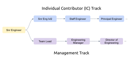 Individual Contributor Track (Senior Eng to Senior Eng 2 to Staff Engineer to Principle Engineer) vs Management Track (Senior Engineer to Team Lead to Engineering Manager to Director of Engineering)