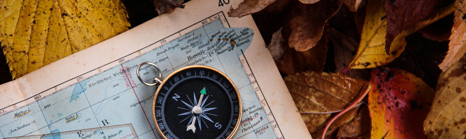 Map and compass