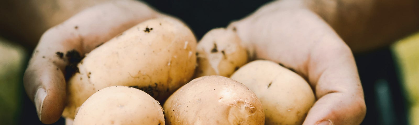 what nutrition is in potatoes