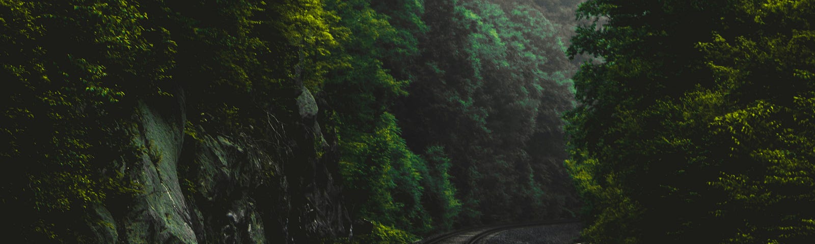 Train line moving through the woods.