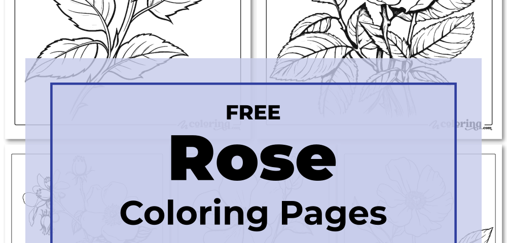 Download all <strong>Rose Coloring Pages</strong>