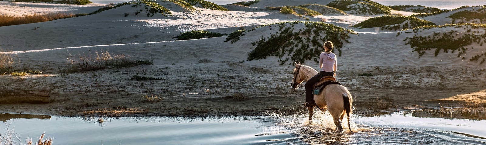 A person riding a horse through a serene landscape with gentle hills and a calm water body, illustrating the theme of slow and steady progress.