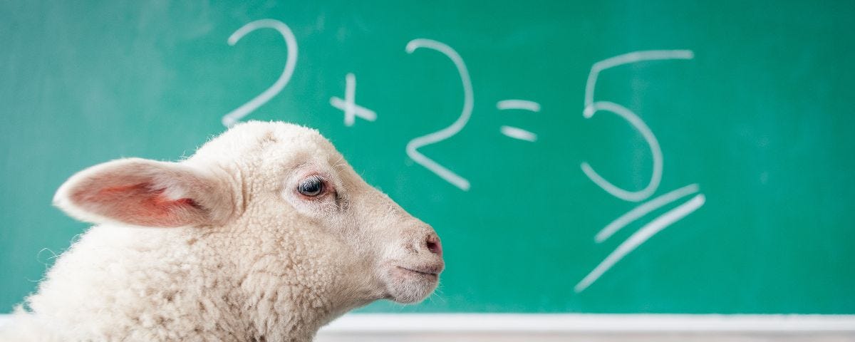 Sheep in front of a chalk board that says “2 + 2 = 5”