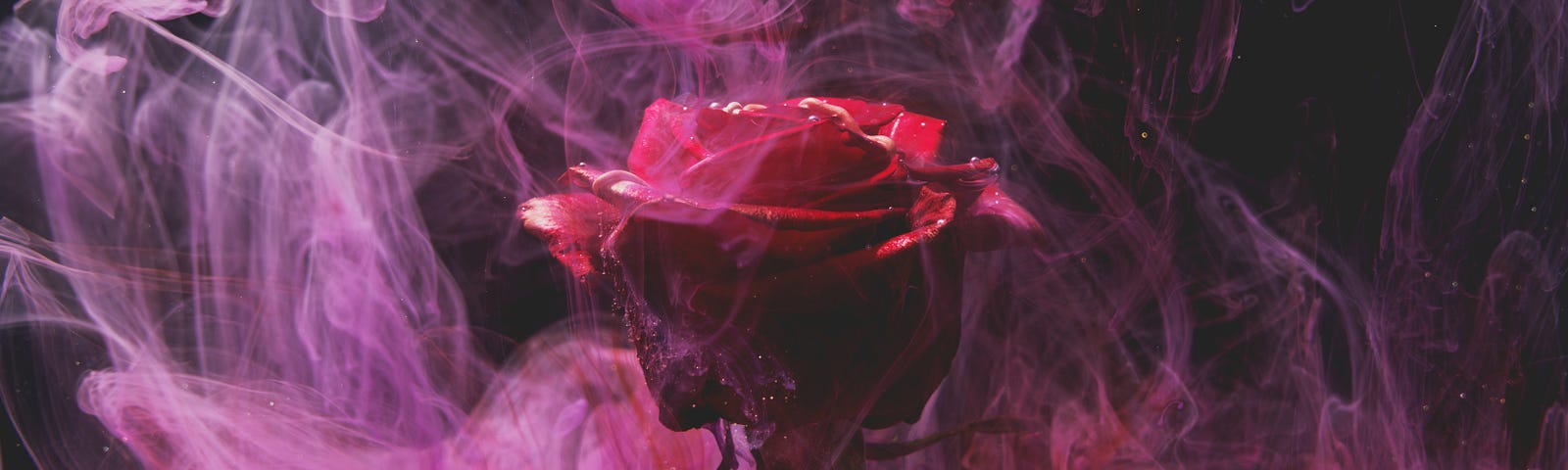 Red rose surrounded by pink smoke