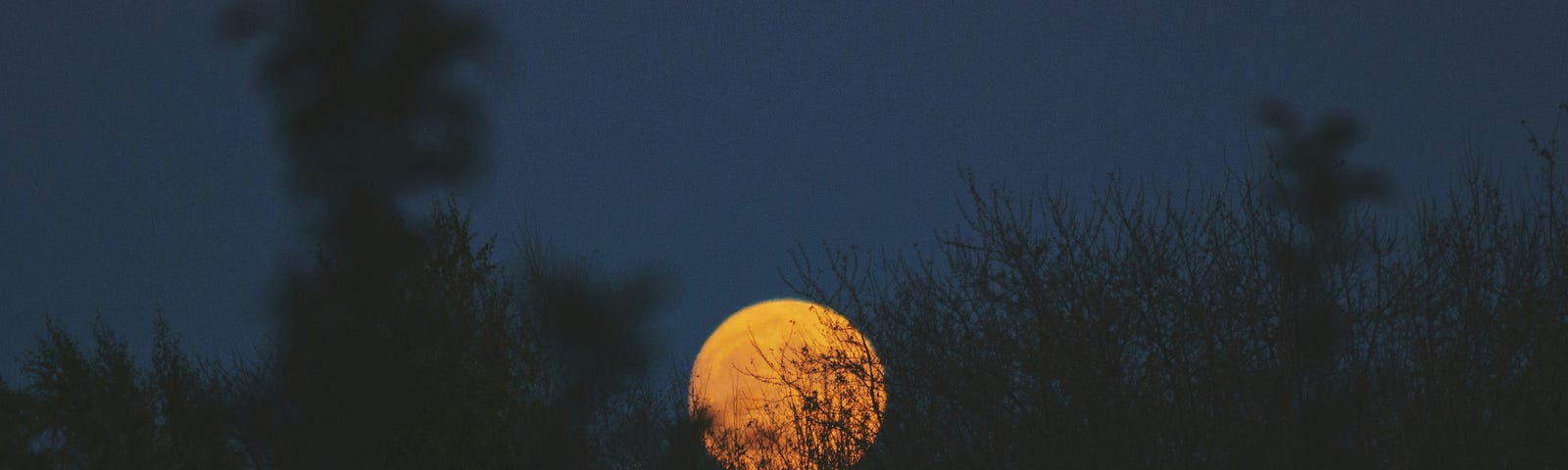 The sun going down against a very dark sky with dark trees or bushes in the forefront