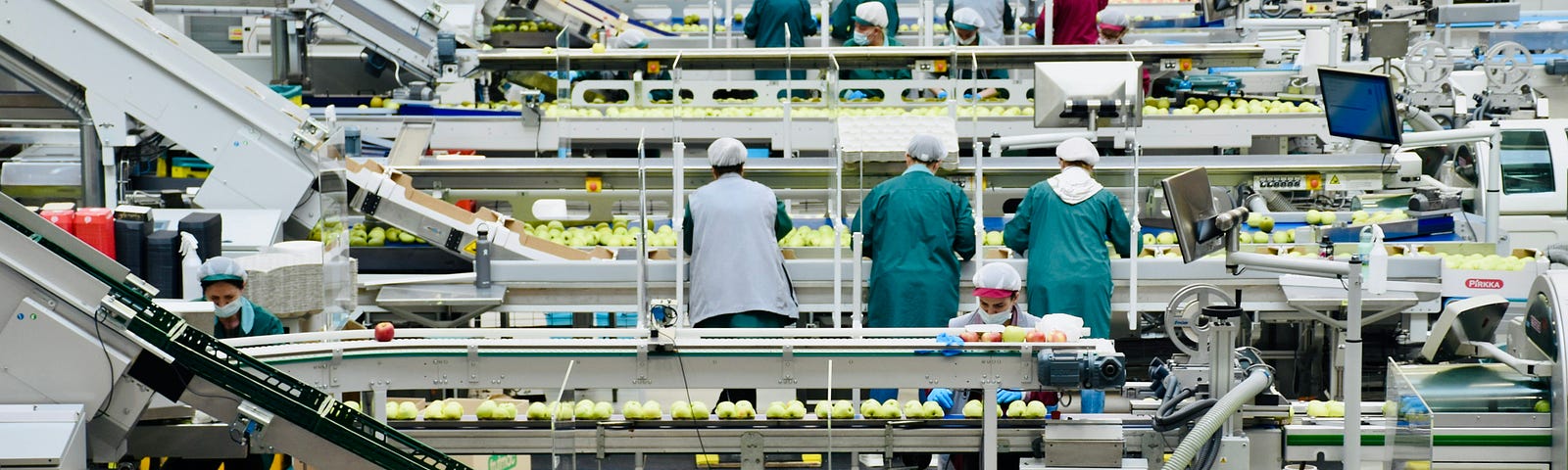 Assembly line workers in food industry