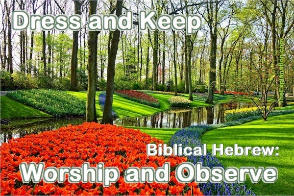 Dress and keep the Garden of Eden. In Biblical Hebrew, the verbs are worship and observe. That’s what God told Adam.