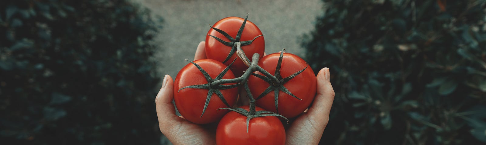 The Surprising Benefits of Mindful Eating: Enhancing Your Well-being One Bite at a Time