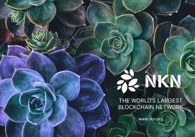NKN building largest Blockchain Network (by Tom)