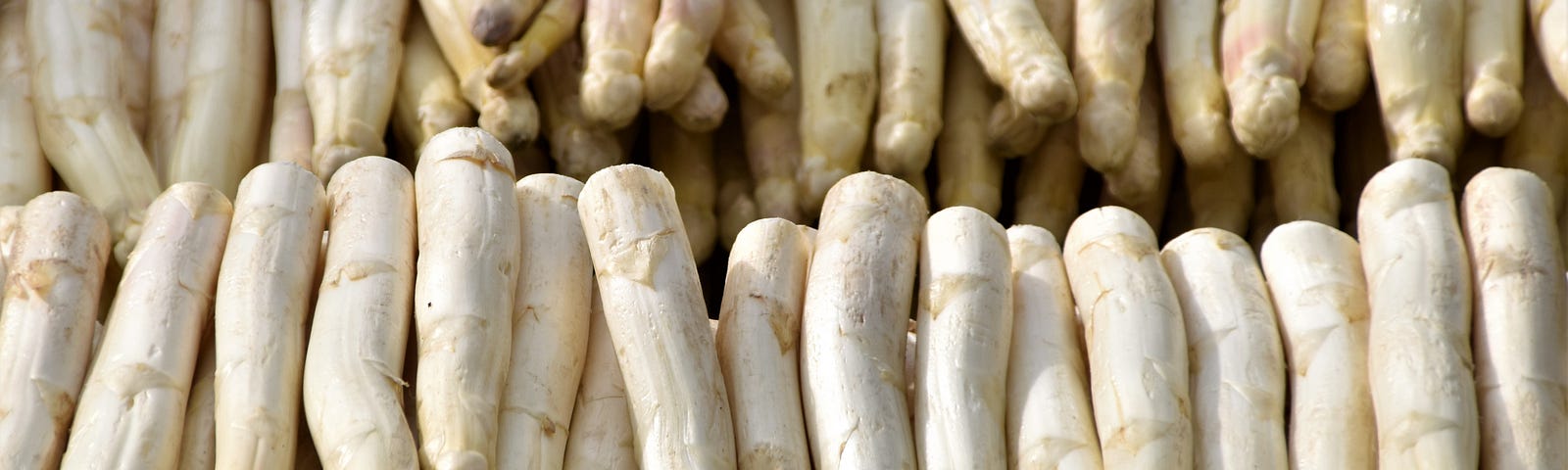 A photo of white asparagus