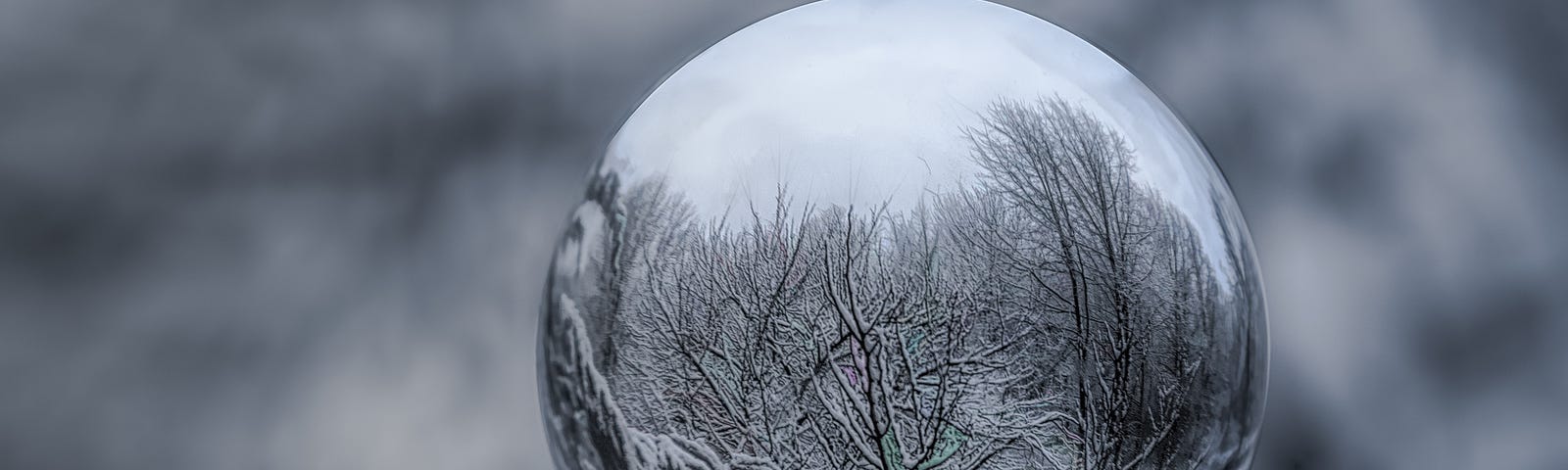 a globe with a wintry reflection of twigs and snow