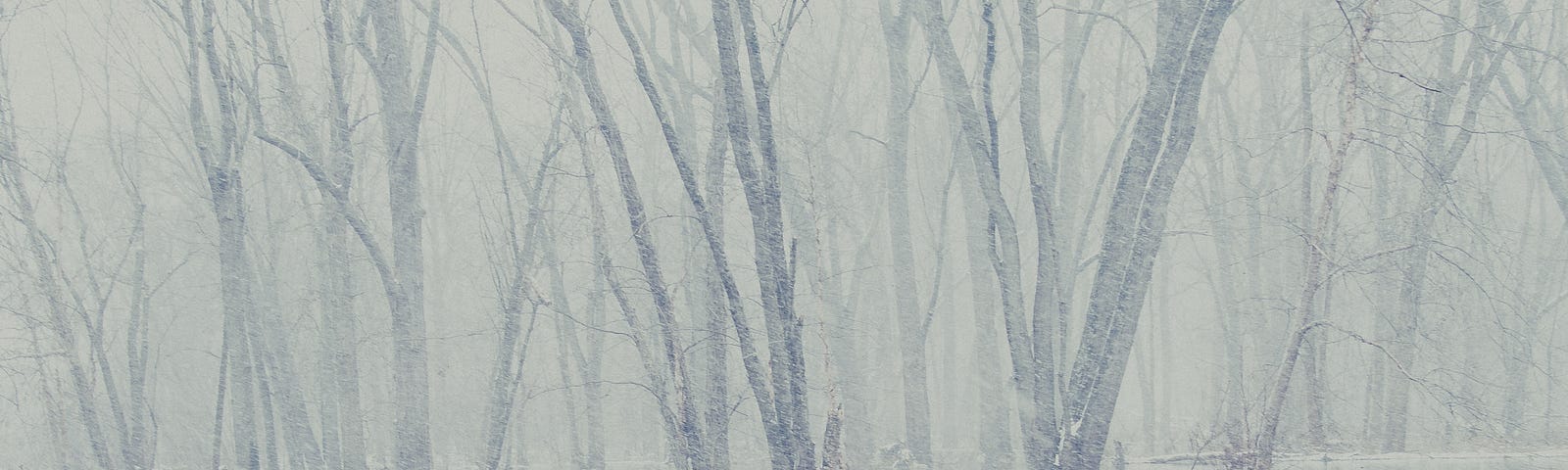 A hazy picture snapped in the middle of a snowstorm. Naked trees pierce upwards from small islands in a lake, their reflections creating a rippling and unsteady mirror image. The entire scene is made muddled and unsettling by blowing snow, distorting the viewer’s sight.