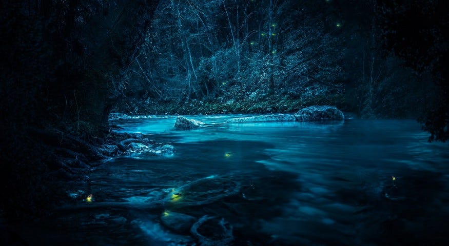 A nighttime scene of a shallow river with trees on the banks