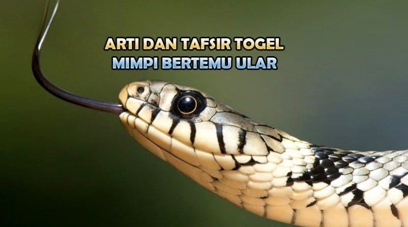 Archive Of Stories About Tafsir Togel – Medium