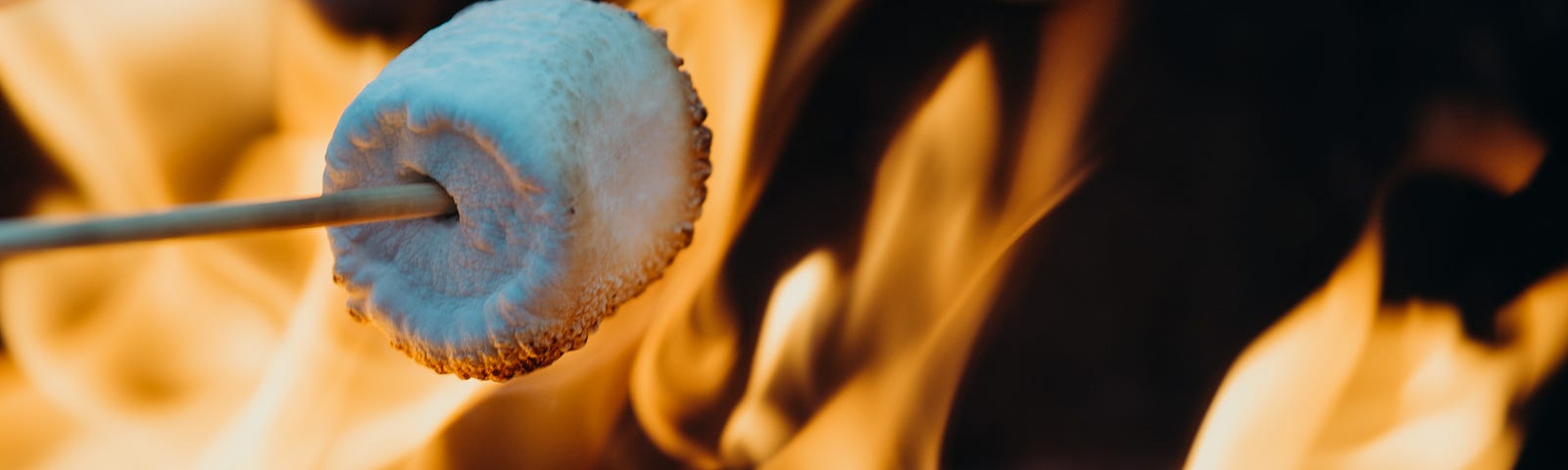 Roasting a marshmellow over a campfire.