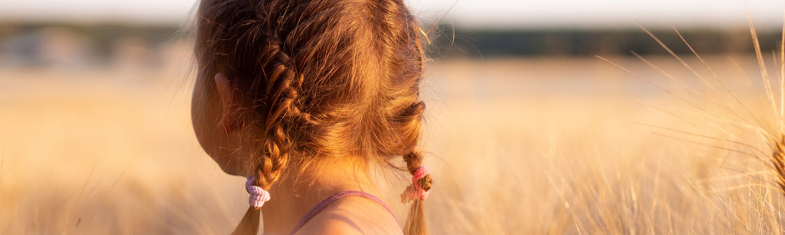 A little girl with braids in her hair looking away in a field of wheat.