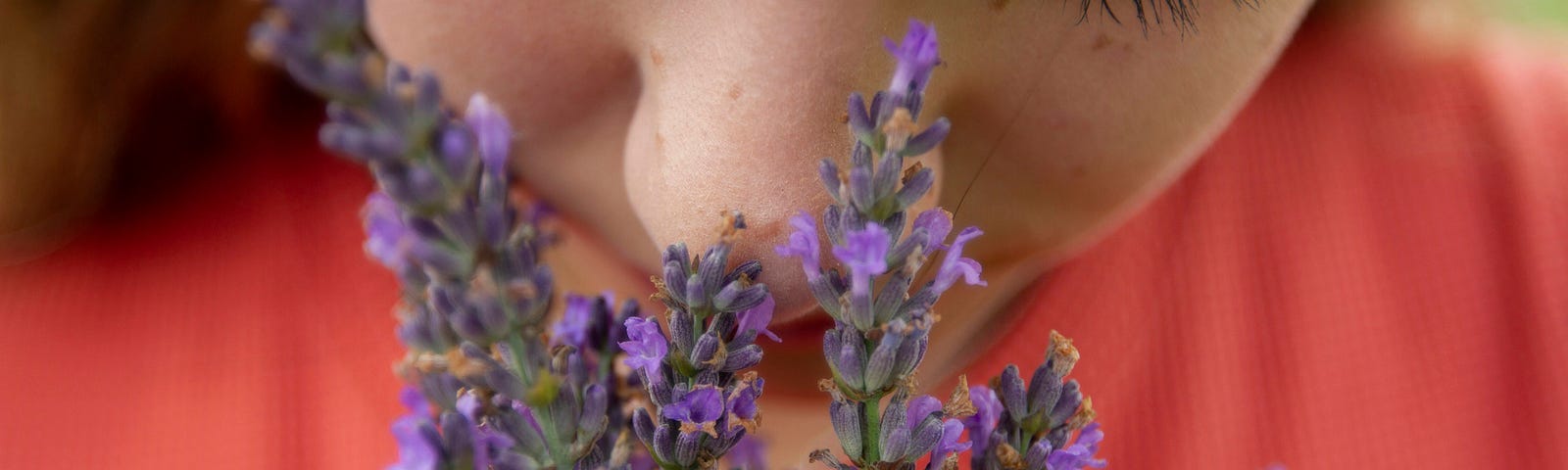 A picture of a women smelling lavender.