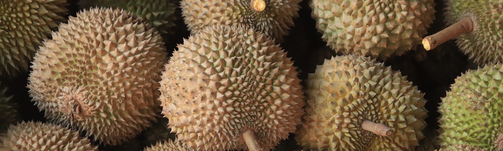 Unlocking the Durian Enigma: The World’s Most Misunderstood Fruit