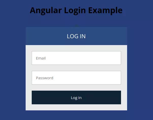 Angular 10 Authentication Form Example