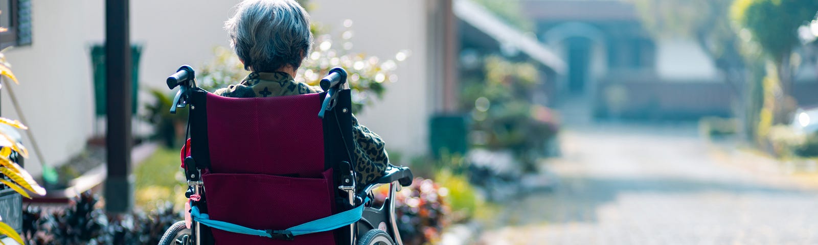 A woman in a wheelchair on a brick path. Her back to the camera