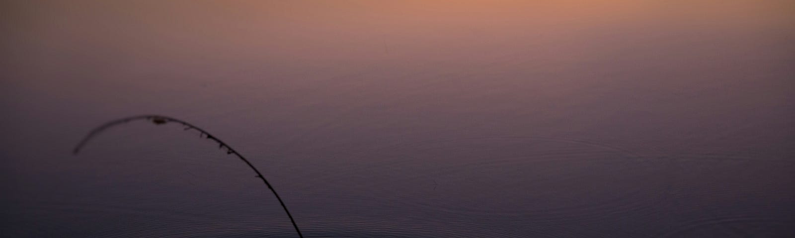 A single withered straw with a few ripples around on the lake in sunset.